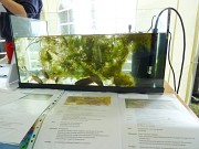 2012 06.24.  04.jpg